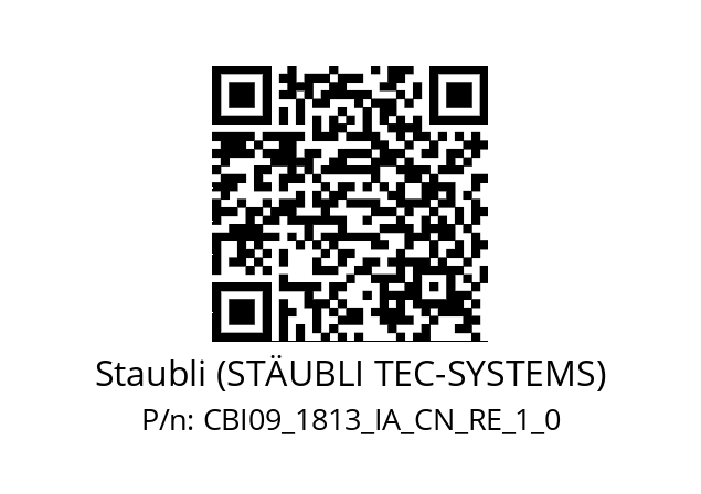   Staubli (STÄUBLI TEC-SYSTEMS) CBI09_1813_IA_CN_RE_1_0