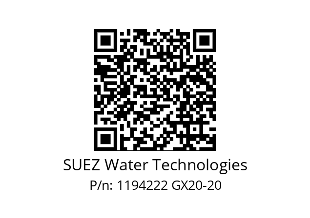   SUEZ Water Technologies 1194222 GX20-20