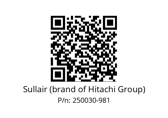   Sullair (brand of Hitachi Group) 250030-981