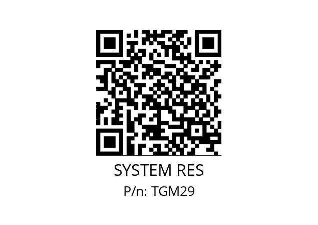   SYSTEM RES TGM29