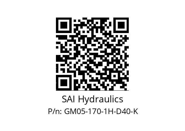   SAI Hydraulics GM05-170-1H-D40-K