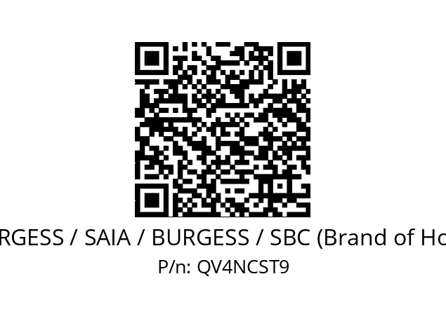   SAIA-BURGESS / SAIA / BURGESS / SBC (Brand of Honeywell) QV4NCST9