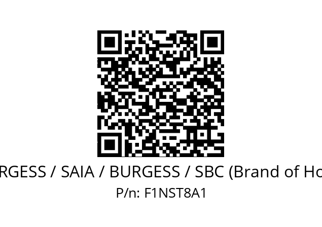   SAIA-BURGESS / SAIA / BURGESS / SBC (Brand of Honeywell) F1NST8A1