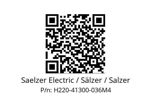   Saelzer Electric / Sälzer / Salzer H220-41300-036M4