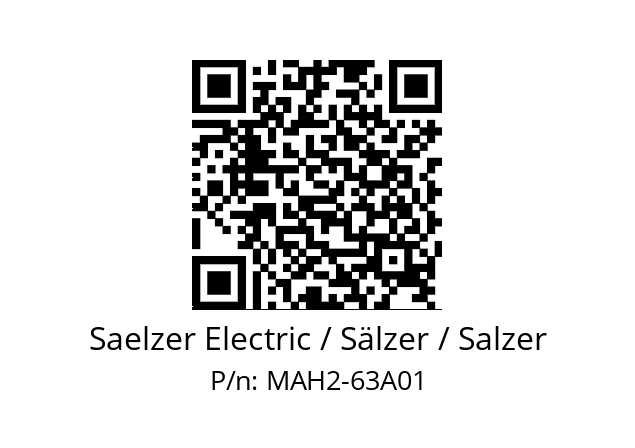   Saelzer Electric / Sälzer / Salzer MAH2-63A01