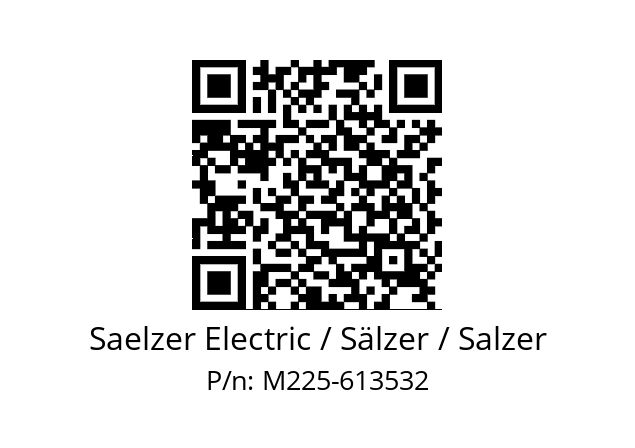   Saelzer Electric / Sälzer / Salzer M225-613532