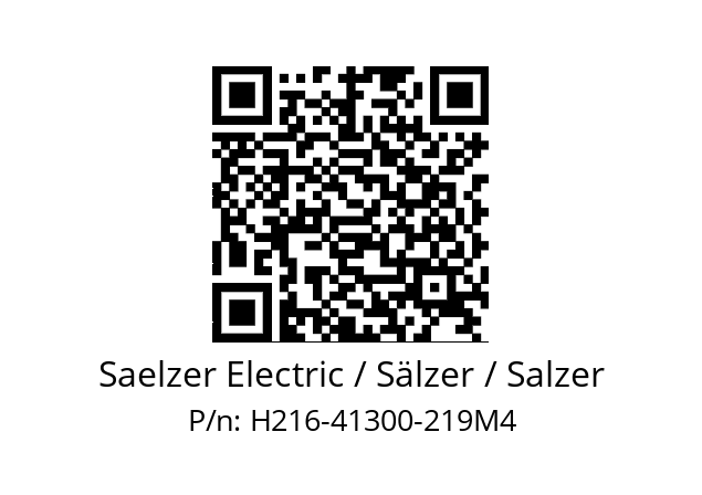   Saelzer Electric / Sälzer / Salzer H216-41300-219M4