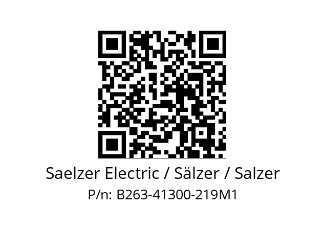   Saelzer Electric / Sälzer / Salzer B263-41300-219M1