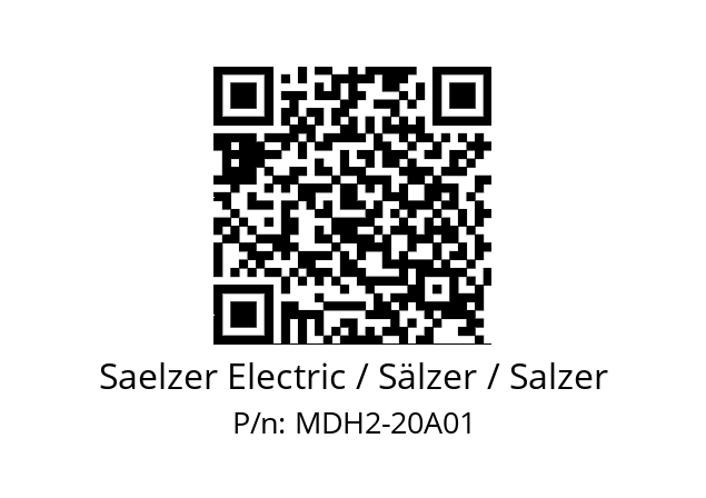   Saelzer Electric / Sälzer / Salzer MDH2-20A01