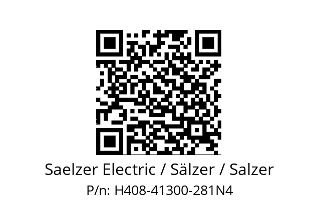   Saelzer Electric / Sälzer / Salzer H408-41300-281N4