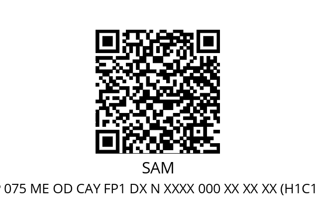   SAM H1C P 075 ME OD CAY FP1 DX N XXXX 000 XX XX XX (H1C106000006)