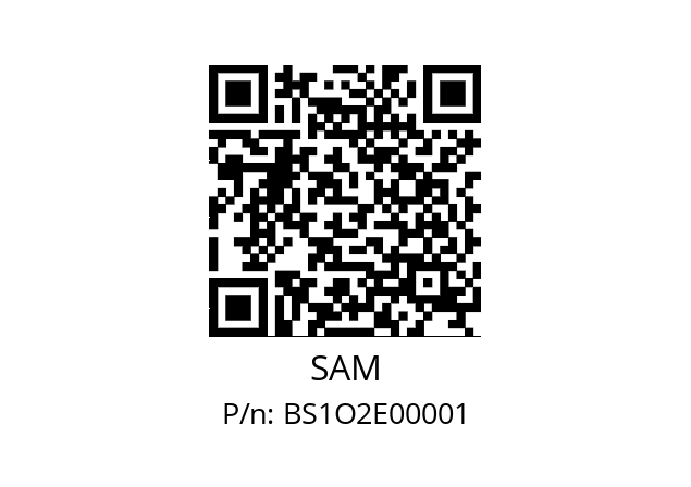   SAM BS1O2E00001