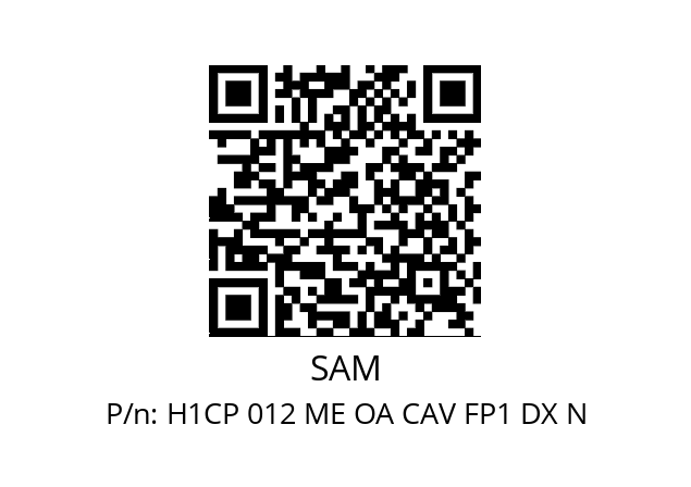   SAM H1CP 012 ME OA CAV FP1 DX N