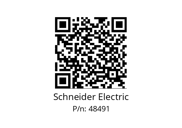   Schneider Electric 48491