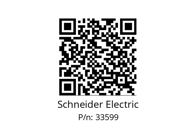   Schneider Electric 33599