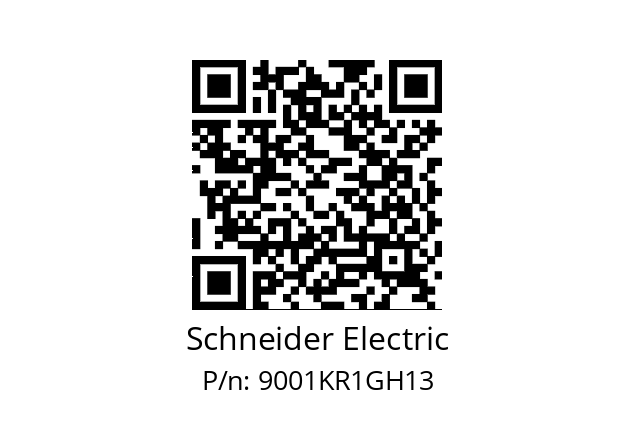   Schneider Electric 9001KR1GH13