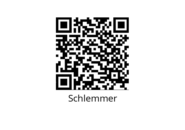  9806307 Schlemmer 