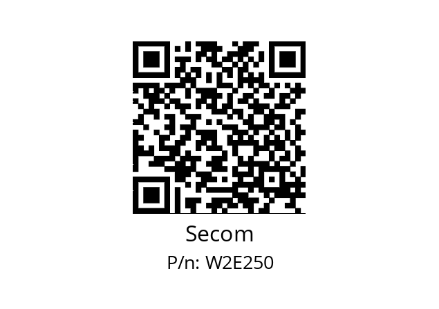   Secom W2E250