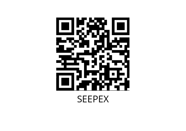  VSP SEEPEX 