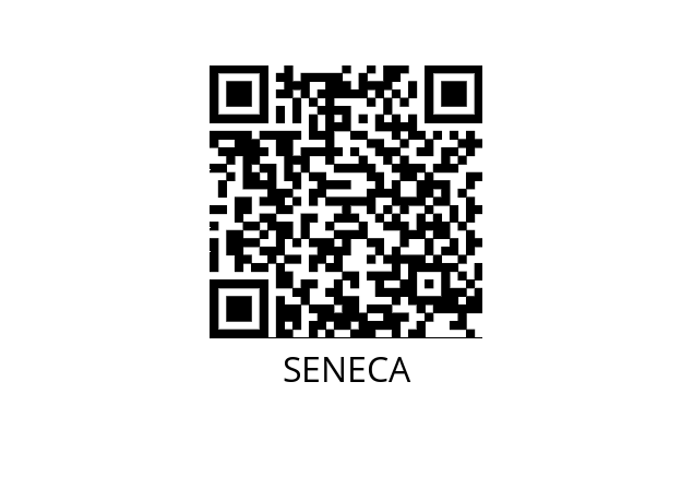 Device Server Z-PASS2-4GWW SENECA 