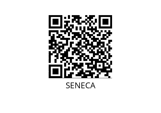 Modem Z-MODEM SENECA 