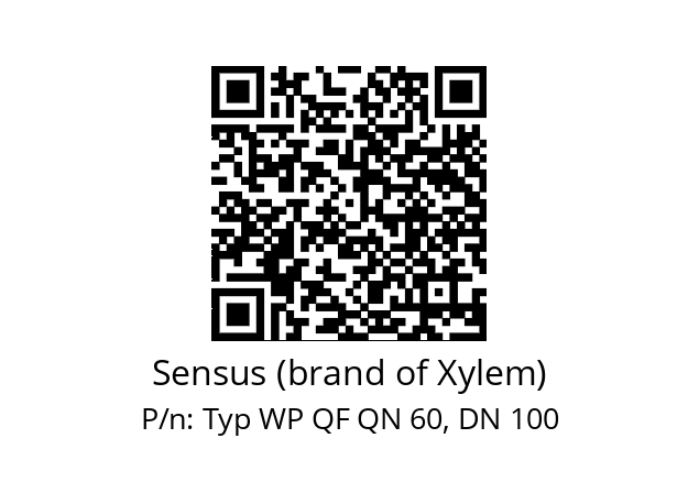   Sensus (brand of Xylem) Typ WP QF QN 60, DN 100