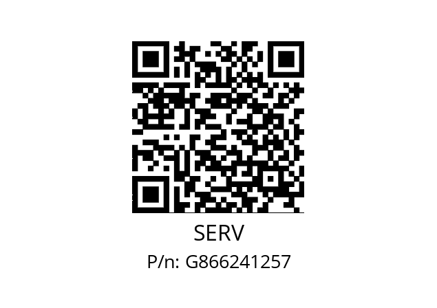   SERV G866241257