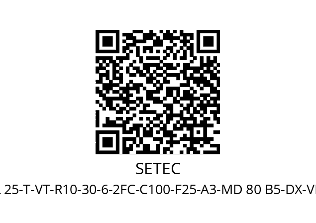   SETEC SEL 25-T-VT-R10-30-6-2FC-C100-F25-A3-MD 80 B5-DX-VD-CPO 0