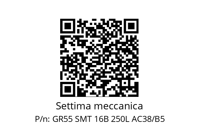   Settima meccanica GR55 SMT 16B 250L AC38/B5