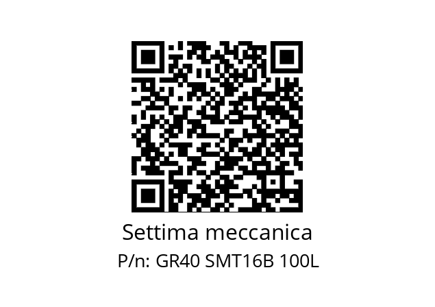  TB100L Settima meccanica GR40 SMT16B 100L