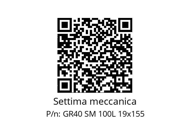   Settima meccanica GR40 SM 100L 19x155