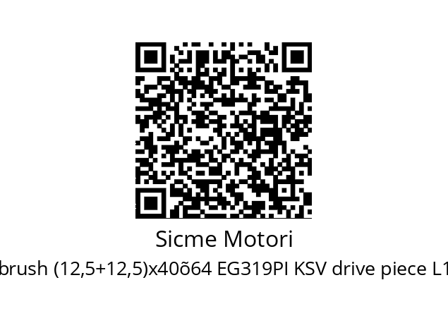   Sicme Motori Electrobrush (12,5+12,5)x40õ64 EG319PI KSV drive piece L170 mm end