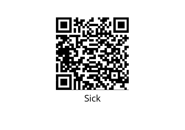  C20E-135303A12 Sick 