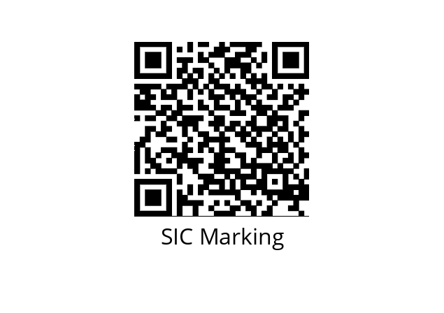  E10-I141 SIC Marking 