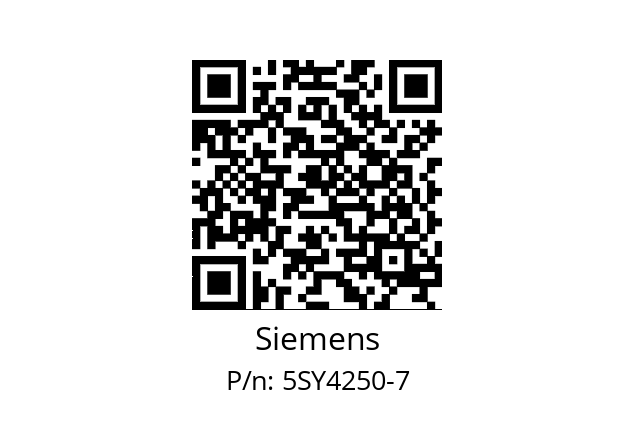   Siemens 5SY4250-7