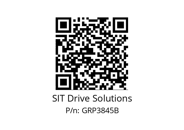   SIT Drive Solutions GRP3845B