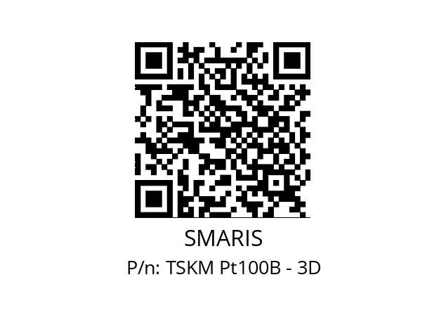   SMARIS TSKM Pt100B - 3D