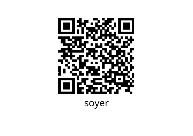  S0115 soyer 