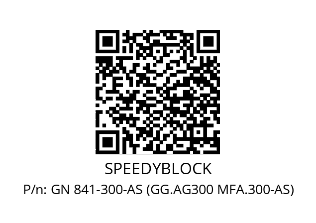   SPEEDYBLOCK GN 841-300-AS (GG.AG300 MFA.300-AS)