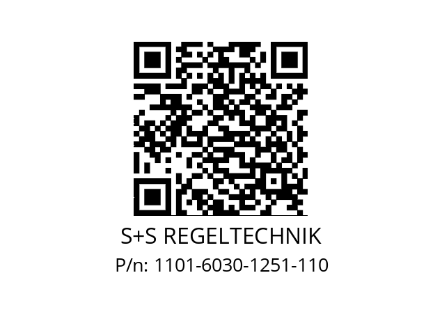   S+S REGELTECHNIK 1101-6030-1251-110