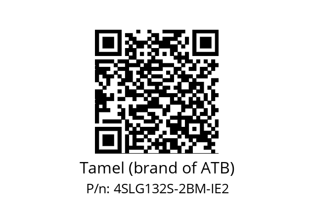   Tamel (brand of ATB) 4SLG132S-2BM-IE2