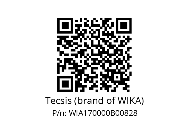   Tecsis (brand of WIKA) WIA170000B00828