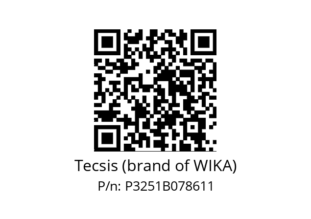   Tecsis (brand of WIKA) P3251B078611