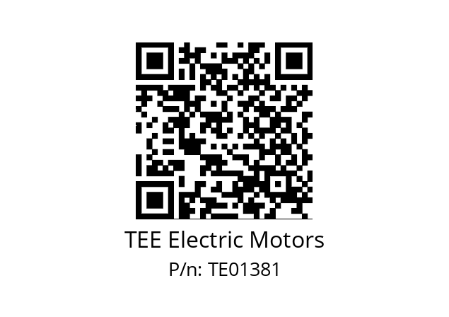   TEE Electric Motors TE01381