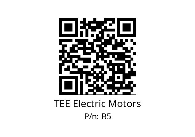   TEE Electric Motors B5