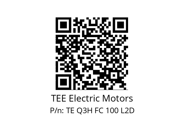   TEE Electric Motors TE Q3H FC 100 L2D