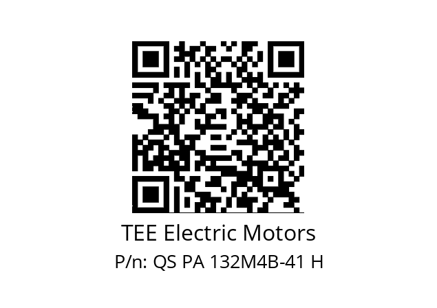   TEE Electric Motors QS PA 132M4B-41 H