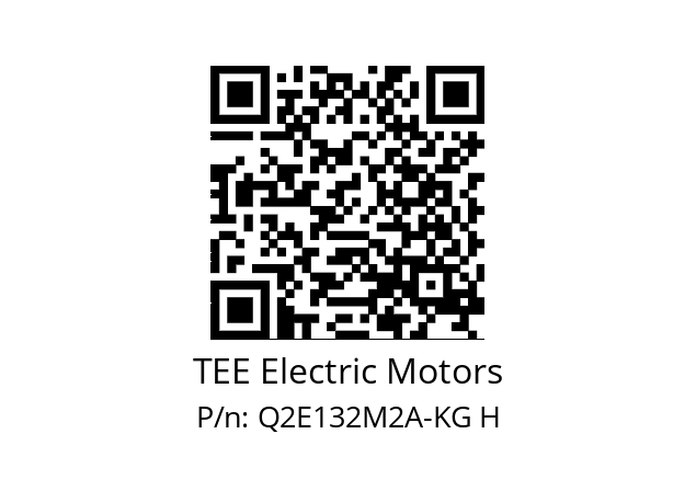   TEE Electric Motors Q2E132M2A-KG H