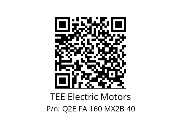   TEE Electric Motors Q2E FA 160 MX2B 40