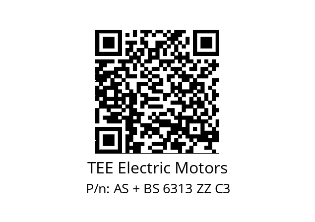   TEE Electric Motors AS + BS 6313 ZZ C3